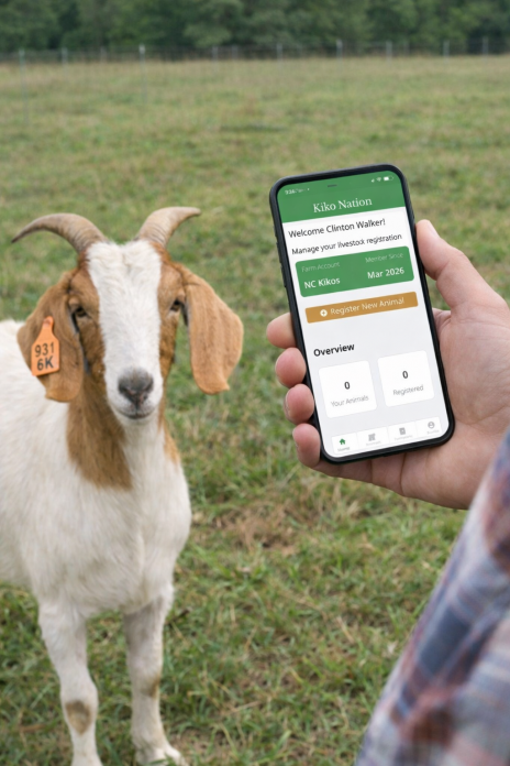 Digital Livestock Records